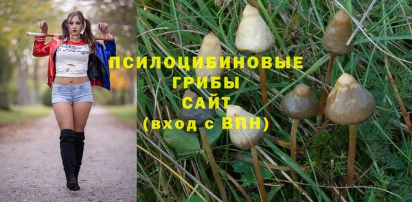 ГАЛЛЮЦИНОГЕННЫЕ ГРИБЫ Баксан
