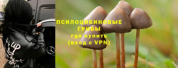 гашик Аркадак