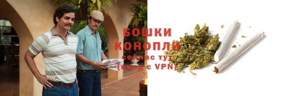 сатива Арсеньев